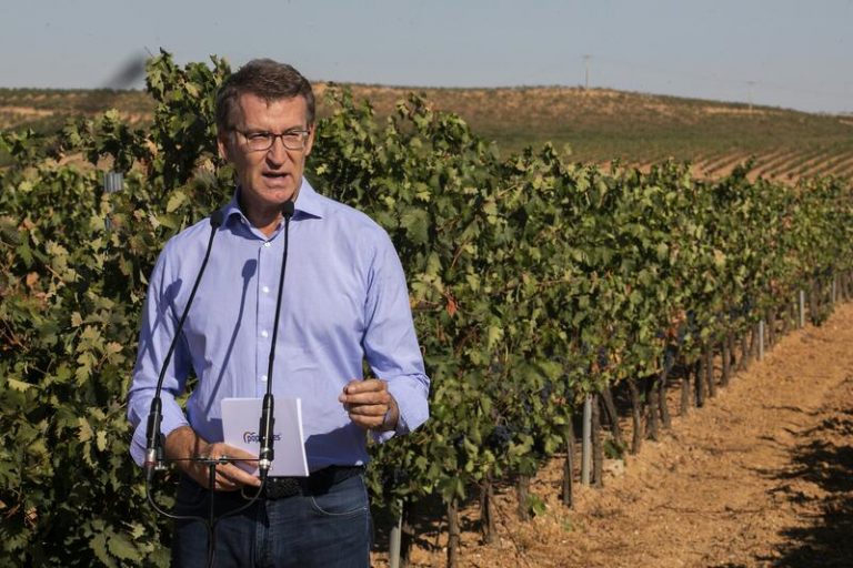 Feijóo pide replantear el PERTE Alimentario por «insuficiente» y que el Gobierno priorice al sector agroalimentario