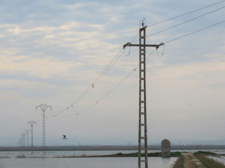 El precio de la luz bajará este viernes un 15,27%, hasta los 242,36 euros/MWh