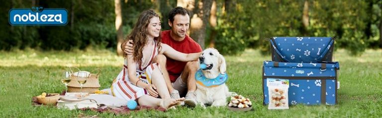 ¿Por qué las mascotas son los reyes de casa? Nobleza Mascotas lo explica
