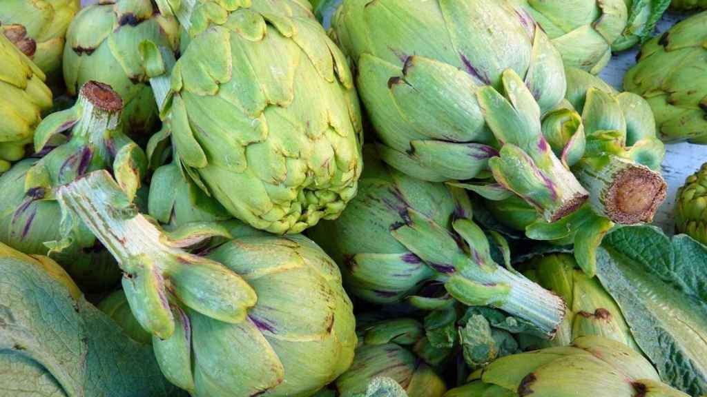 Las Infusiones Que Debes Tomar Para Cuidar El Riñón