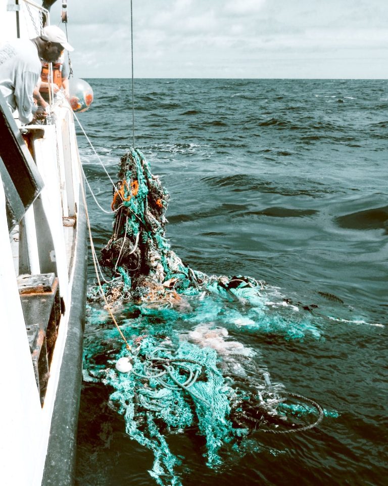 Páez Aduanas, primera agencia española del sector aduanero que limpiará el mar Mediterráneo