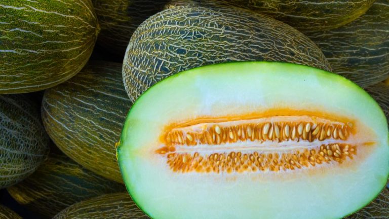 Encuentra el melón más dulce de la frutería con este sencillo truco