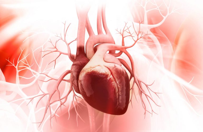 Cáncer de corazón: síntomas que avisan que tienes un tumor difícil de detectar
