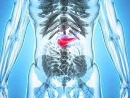 ¿Cuáles Son Las Causas Del Cáncer De Páncreas?