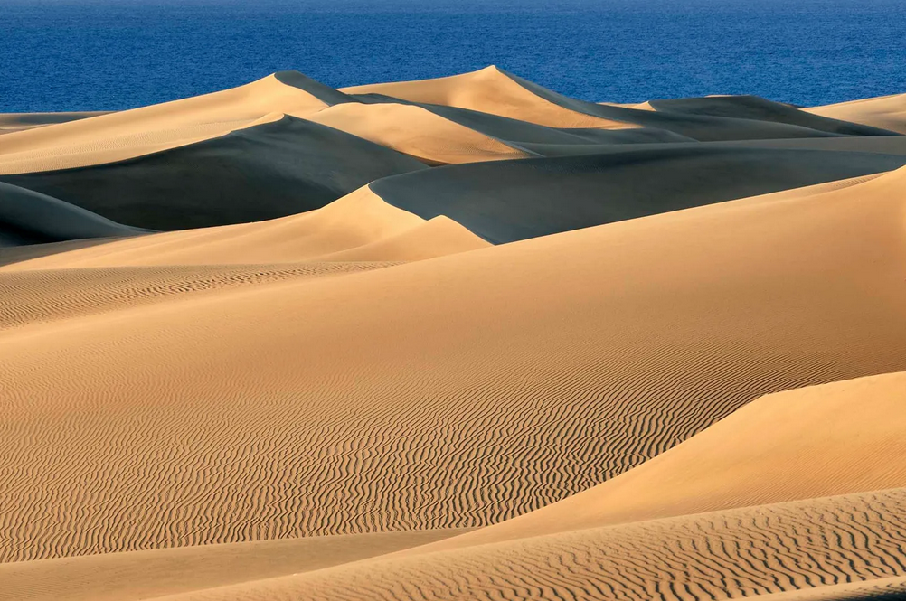 desiertos