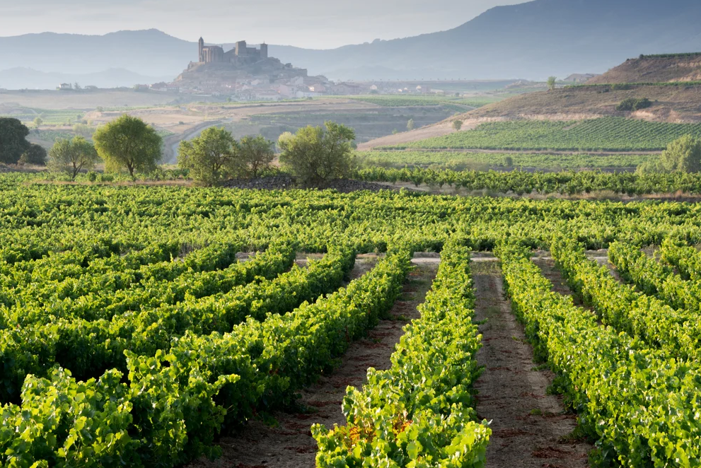 vinos