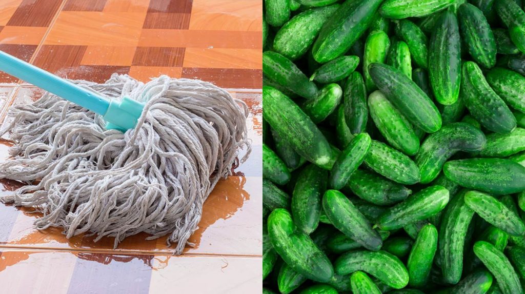 ¿Cómo Es El Truco Del Pepino Para Eliminar Las Cucarachas De La Cocina?