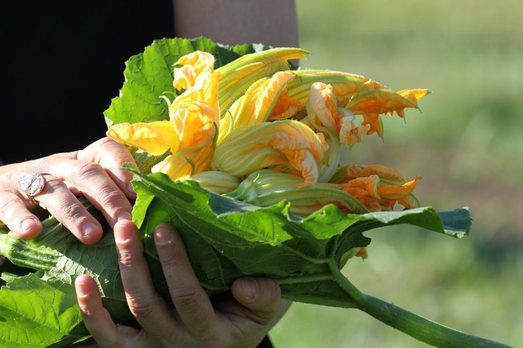 Flores de calabacín: así las haces para sorprender a los tuyos