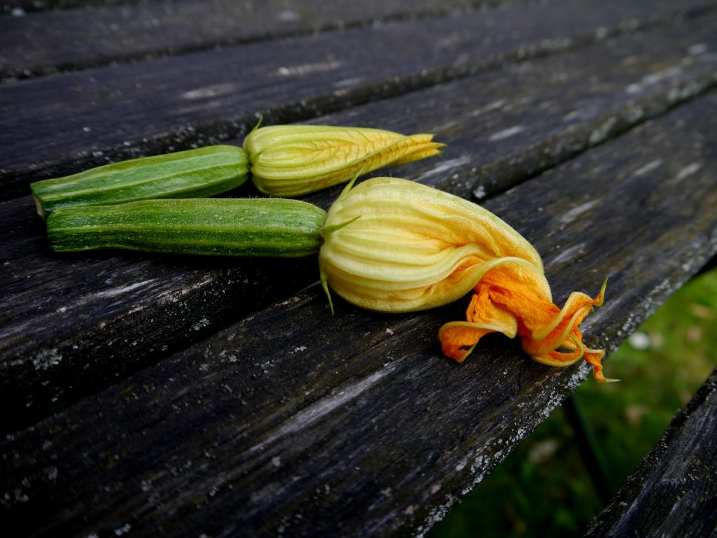 Flores De Calabacín: Así Las Haces Para Sorprender A Los Tuyos