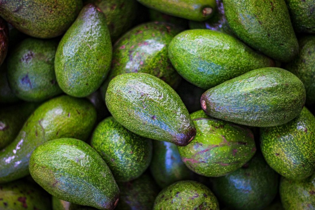 Huevos rellenos de aguacate: la receta que le da un sabor más suave