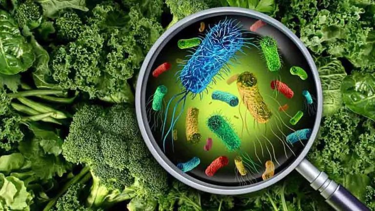 Listeria: Síntomas que te avisan y cómo se trata