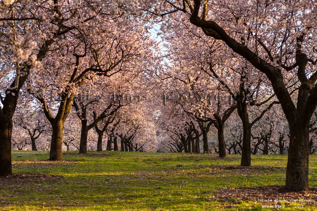 El Jardín Secreto De Madrid Que Deberías Conocer 