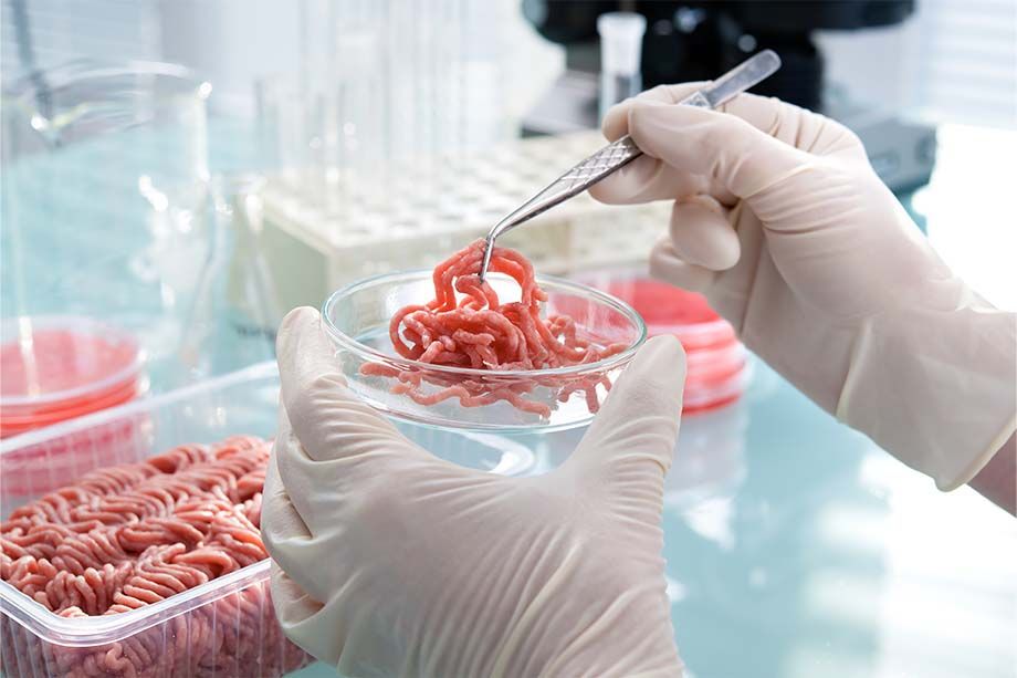 ¿Por Qué Se Producen Los Brotes De Listeria?