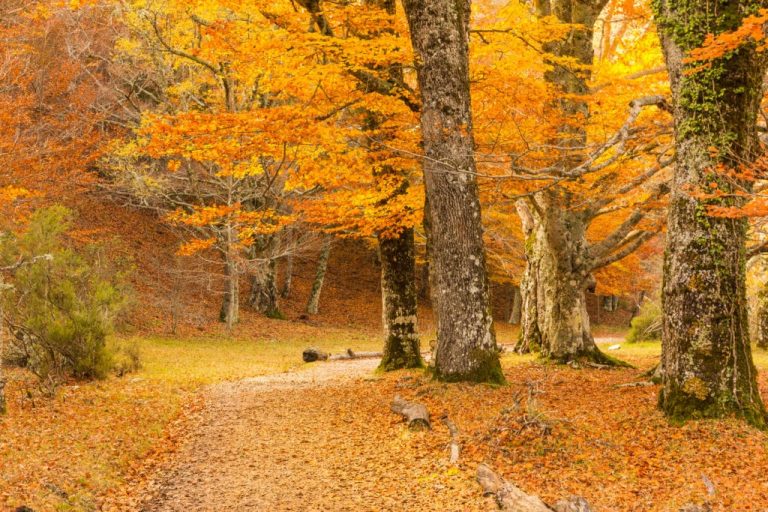 Pueblos con encanto cerca de Madrid para una escapada en otoño