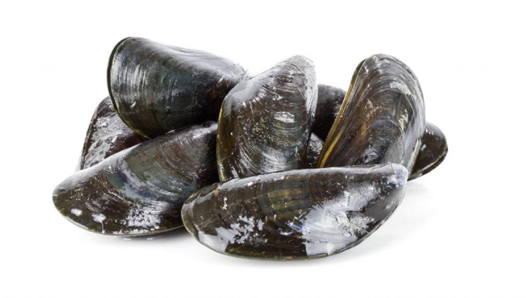 Mejillones Rellenos: El Truco Para Que Hacer Unos Tigres Perfectos 