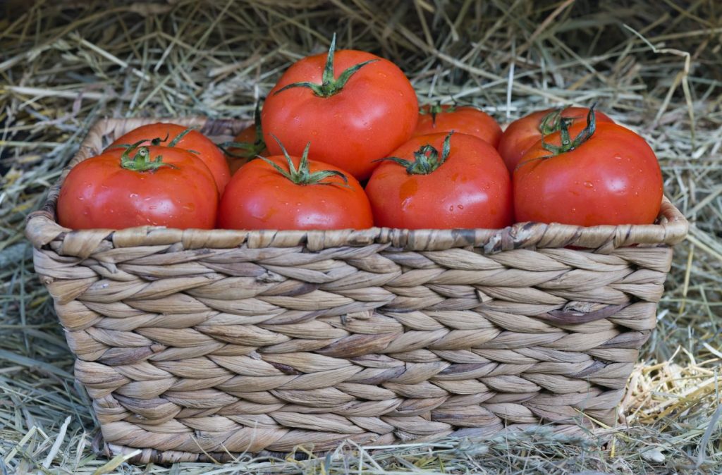 Tomate Frito: Casero Así Lo Puedes Preparar Más Rico Que El Que Compras