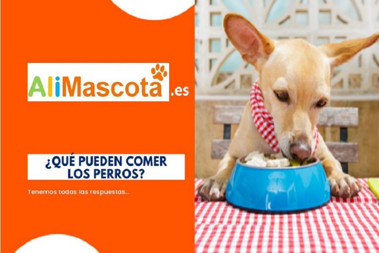 Aprender a alimentar correctamente a tu perro con Alimascota.es