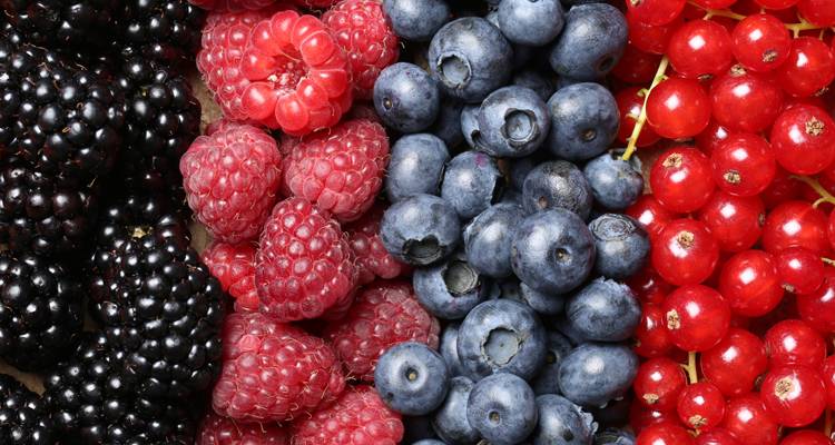 Alimentos Que Nos Pone De Buen Humor Cada Día