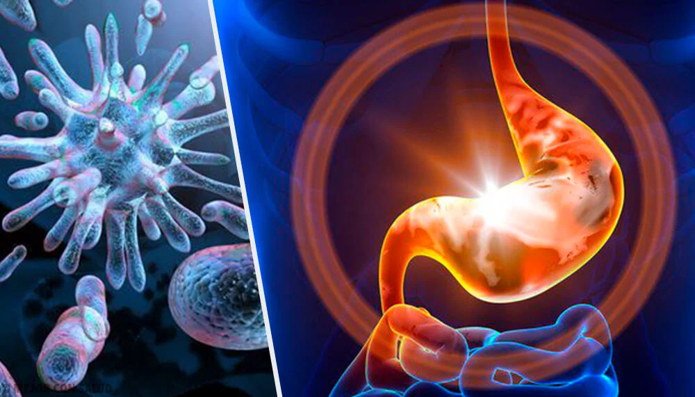 Causas De La Gastroenteritis