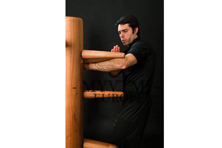 Inteligencia Marcial y la perspectiva de aprender Kung Fu para la vida diaria