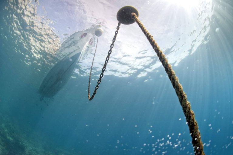 ¿Cómo escoger el ancla adecuada para la embarcación?, anchors grapnel de ForBoat.eu