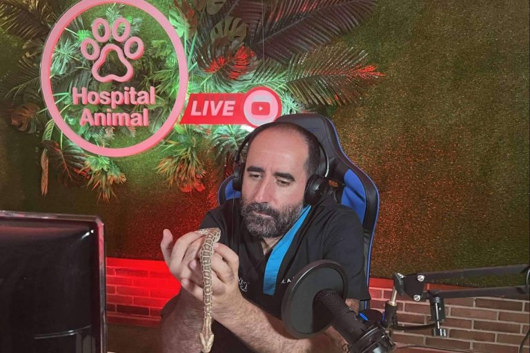 Ver la serie Hospital Animal todas las semanas por TeleMadrid