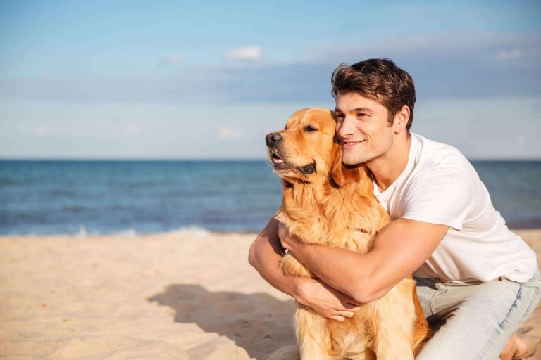 Los seguros de mascotas para perros y gatos de Barkibu