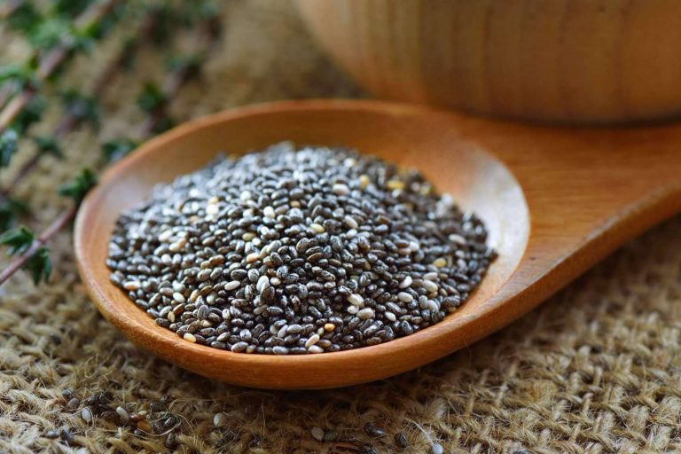 ¿Por qué se debería incluir la chía o salvia hispánica en la dieta?