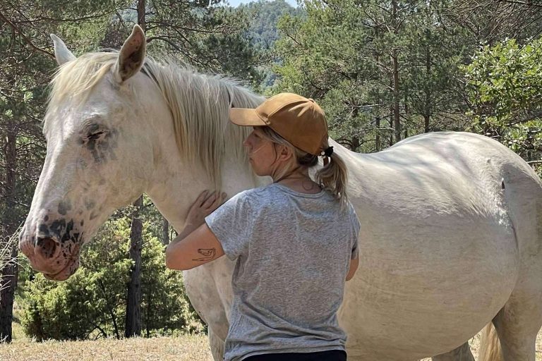 Desarrollar la inteligencia emocional gracias a los beneficios de los caballos libres