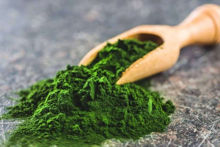 Espirulina en polvo, un superalimento de Mediterranean Superfoods