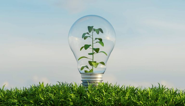¿Cómo tramitar las subvenciones de eficiencia energética? SATE Mediterráneo