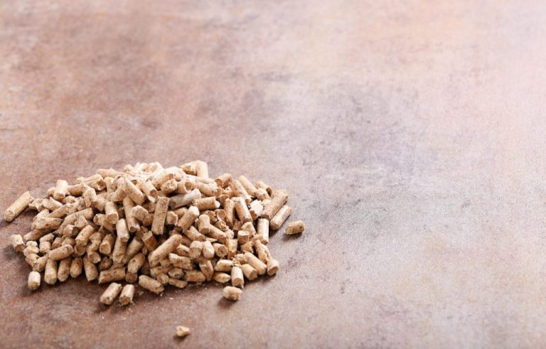 La histórica crisis de pellets provocada por la crisis europea – Noticias Empresariales