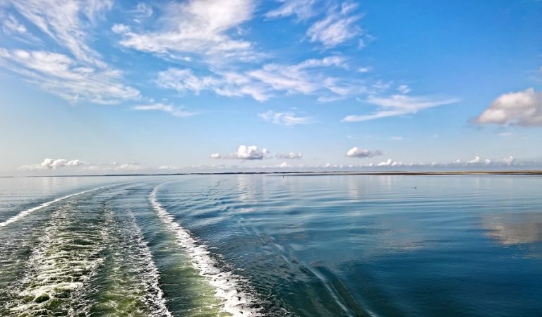 ¿Cuáles son los mejores lugares para visitar en Nador?