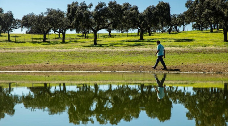El 80% de los cultivos agrícolas que abastecen a Unilever es 100% sostenible