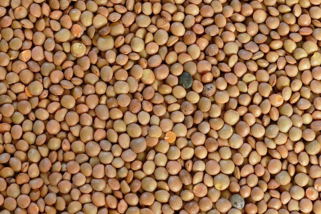 Señales que te avisan de que tienes anemia