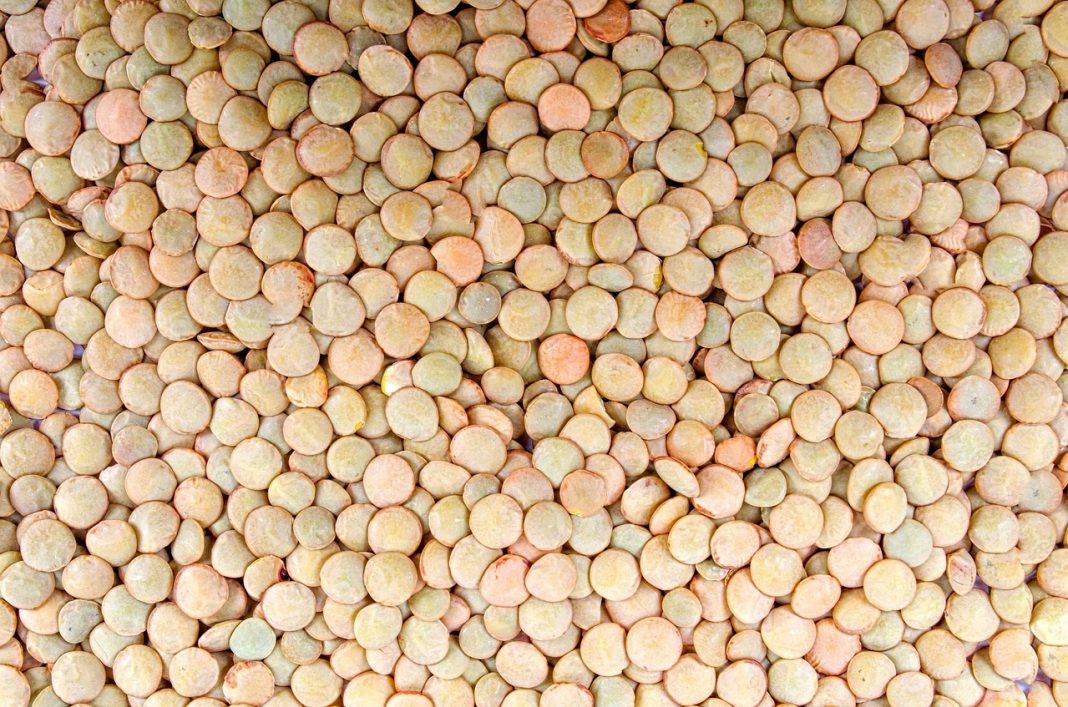Este es el plato de lentejas que puedes comer estando a dieta