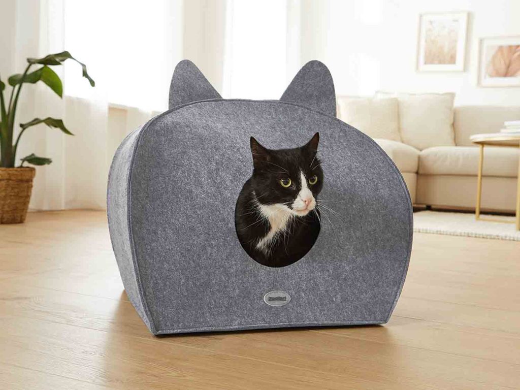 El nuevo accesorio para mascotas de Lidl que no puedes dejar escapar 13 Gato4