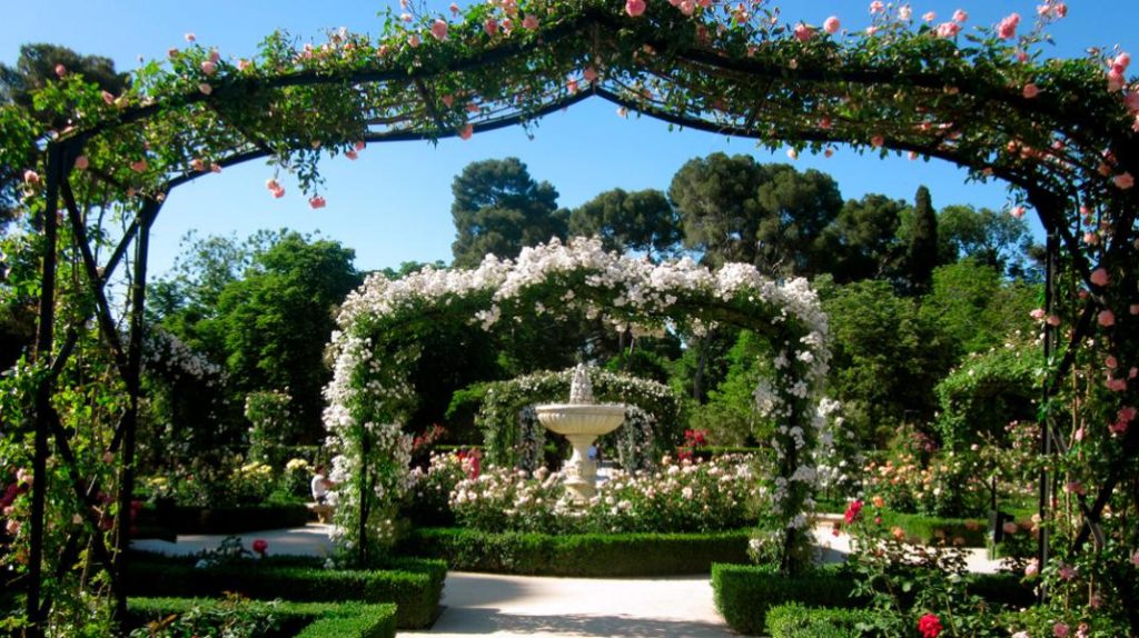 Rosaleda del Parque del Oeste en Madrid