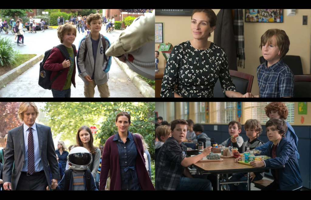 The Wonder. La Historia