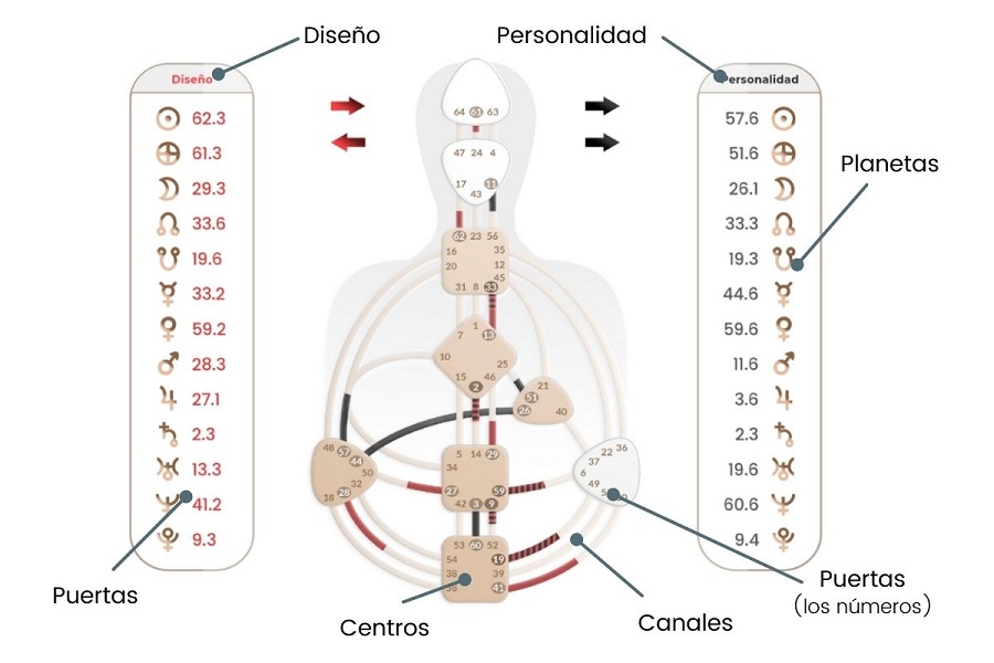 Carta Diseno Humano