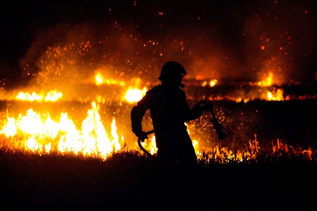 Las Consecuencias De Los Incendios De Este Verano Que Sufriremos Durante Décadas