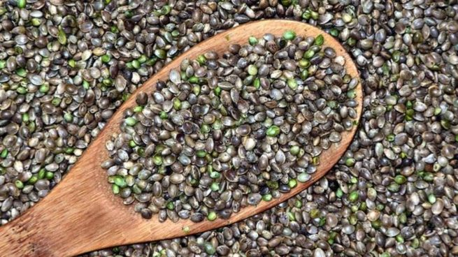 Los 'superalimentos' que no pueden faltar en tu dieta 81 chía superalimentos