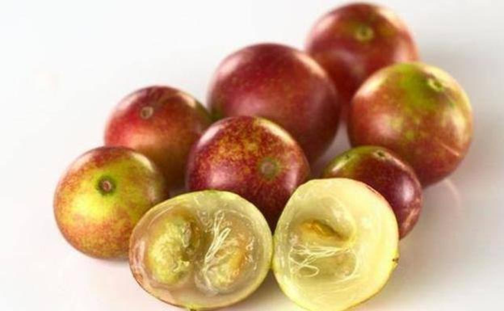 Los 'superalimentos' que no pueden faltar en tu dieta 84 camu camu superalimentos