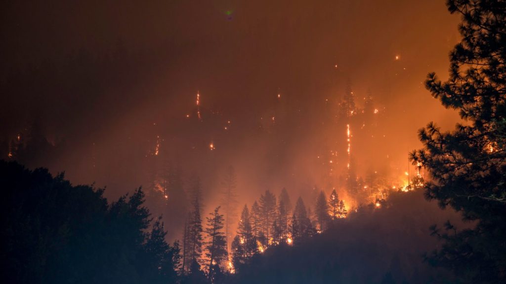 Las Consecuencias De Los Incendios De Este Verano Que Sufriremos Durante Décadas