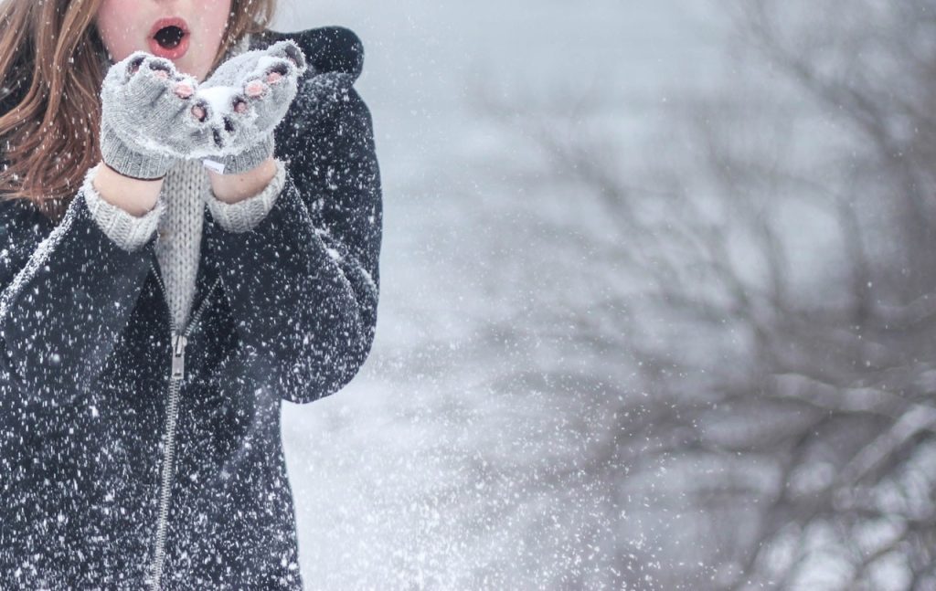 El Invierno Ya Viene