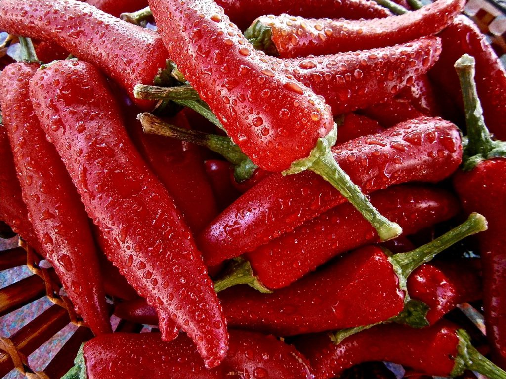 El Alimento No Será Tan Apetecible