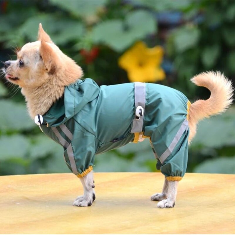 Chubasqueros, Abrigos Y Más: Protege A Tu Mascota Este Invierno Con Aliexpress