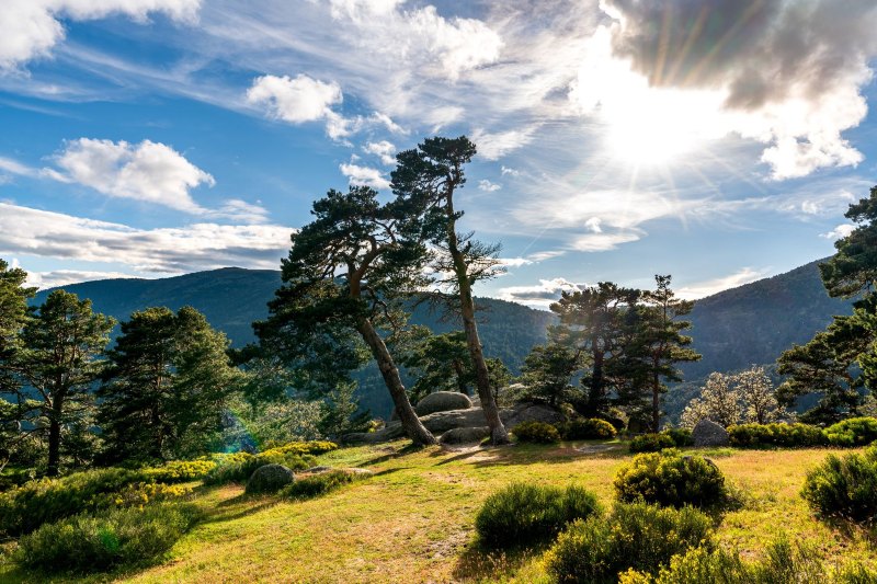 Comunidad de Madrid: La mejor forma de reconectarse con la naturaleza