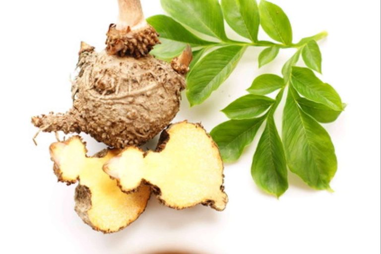 Los beneficios de la pasta de konjac, por The Konjac Shop