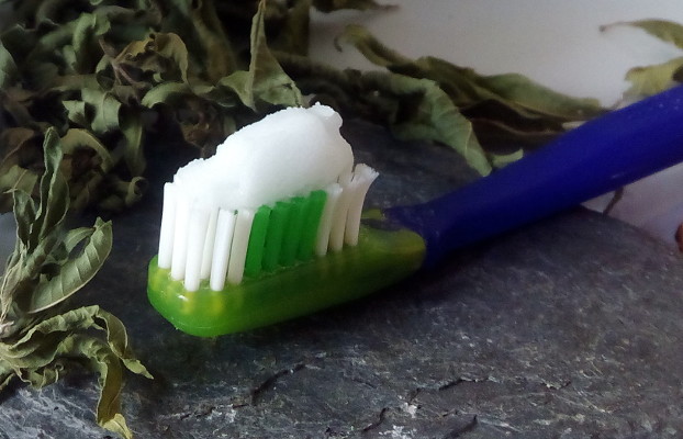 Pasta De Dientes